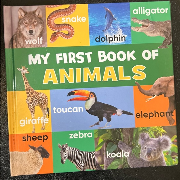 Little Grasshopper Books My First Interactive Book Of Downloadable Collections - Picture 2 of 6